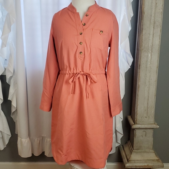 appleseeds petite dresses